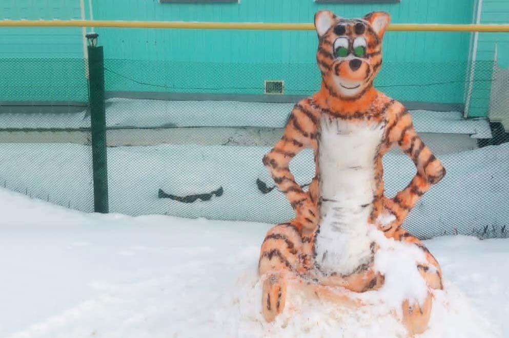 i (2)